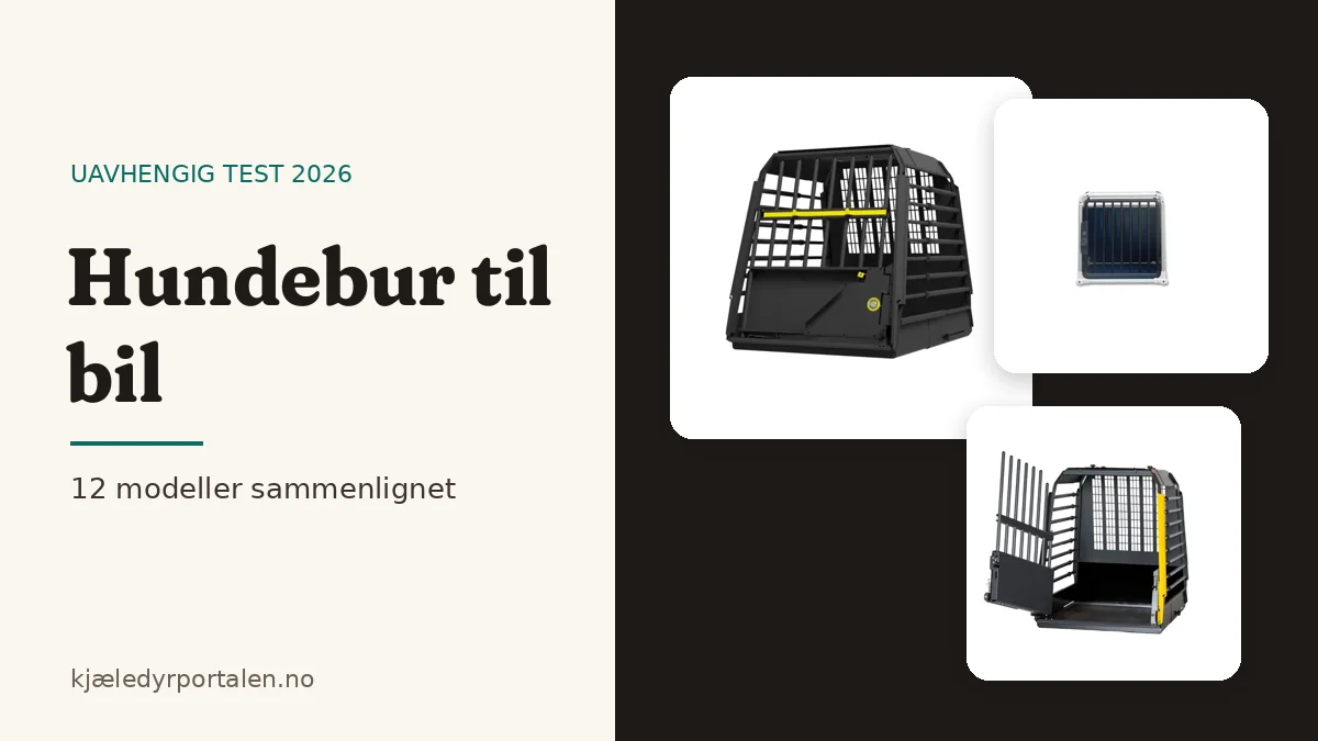 Hundebur til bil