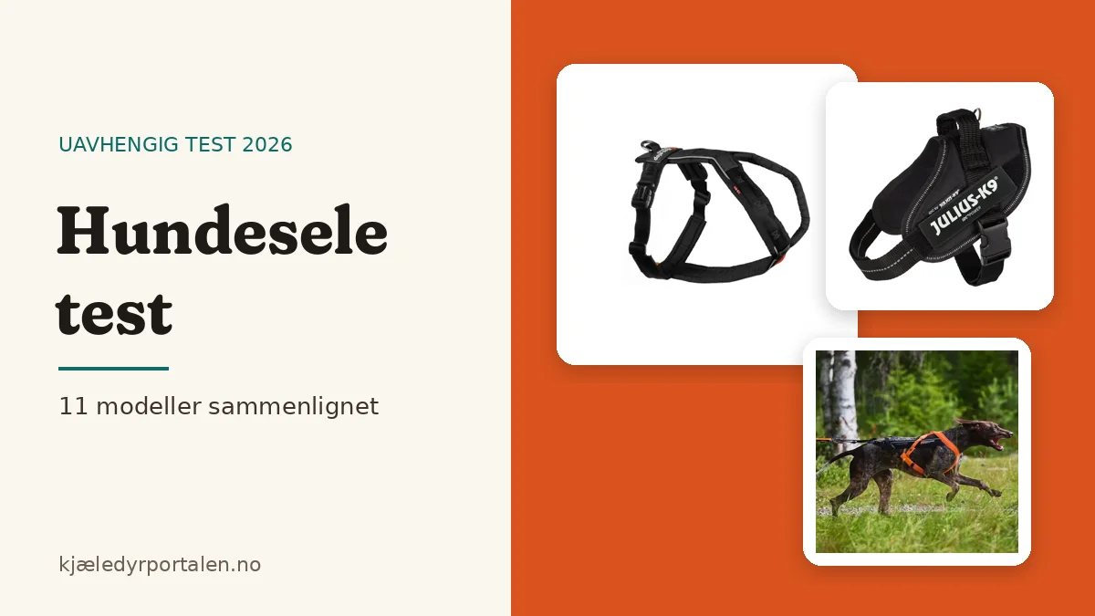 Hundesele test