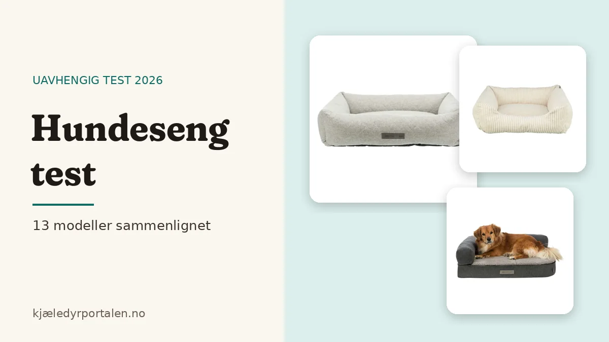 Hundeseng test