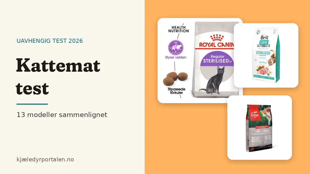 Kattemat test