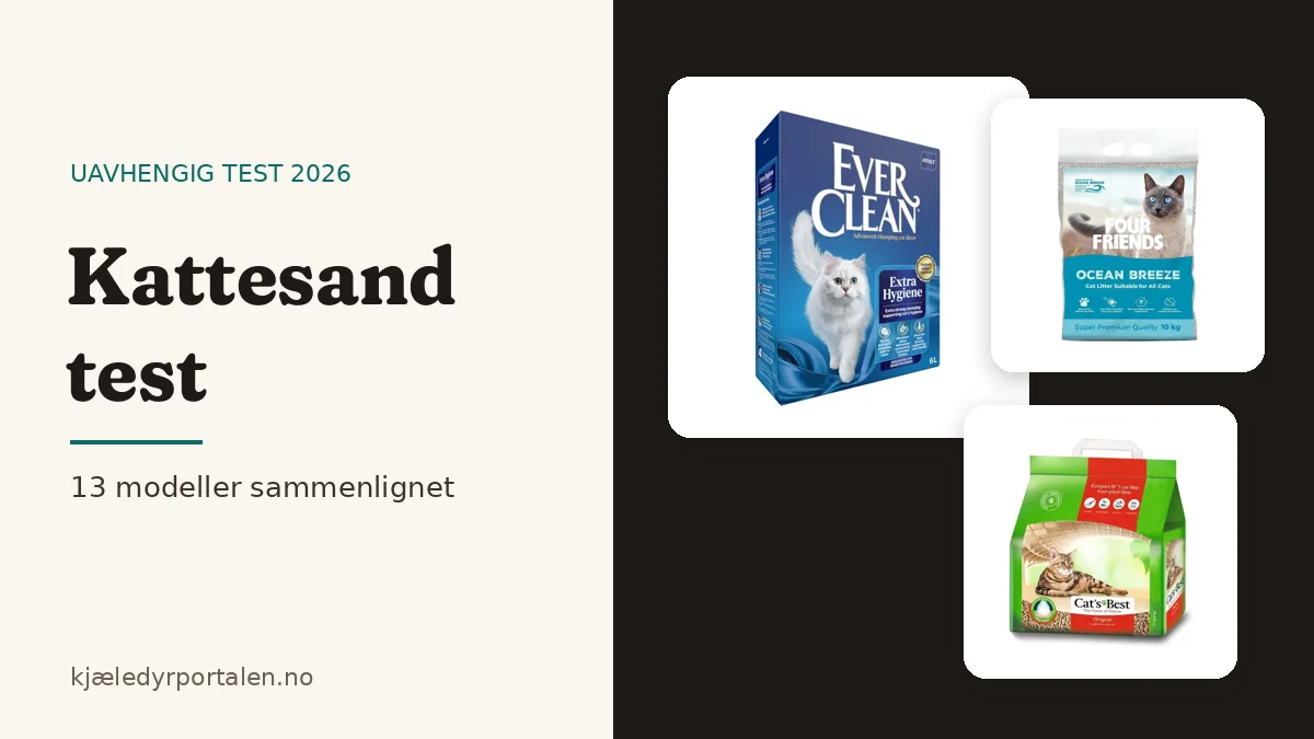 Kattesand test