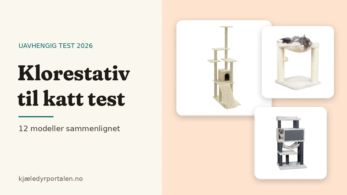 Klorestativ til katt test