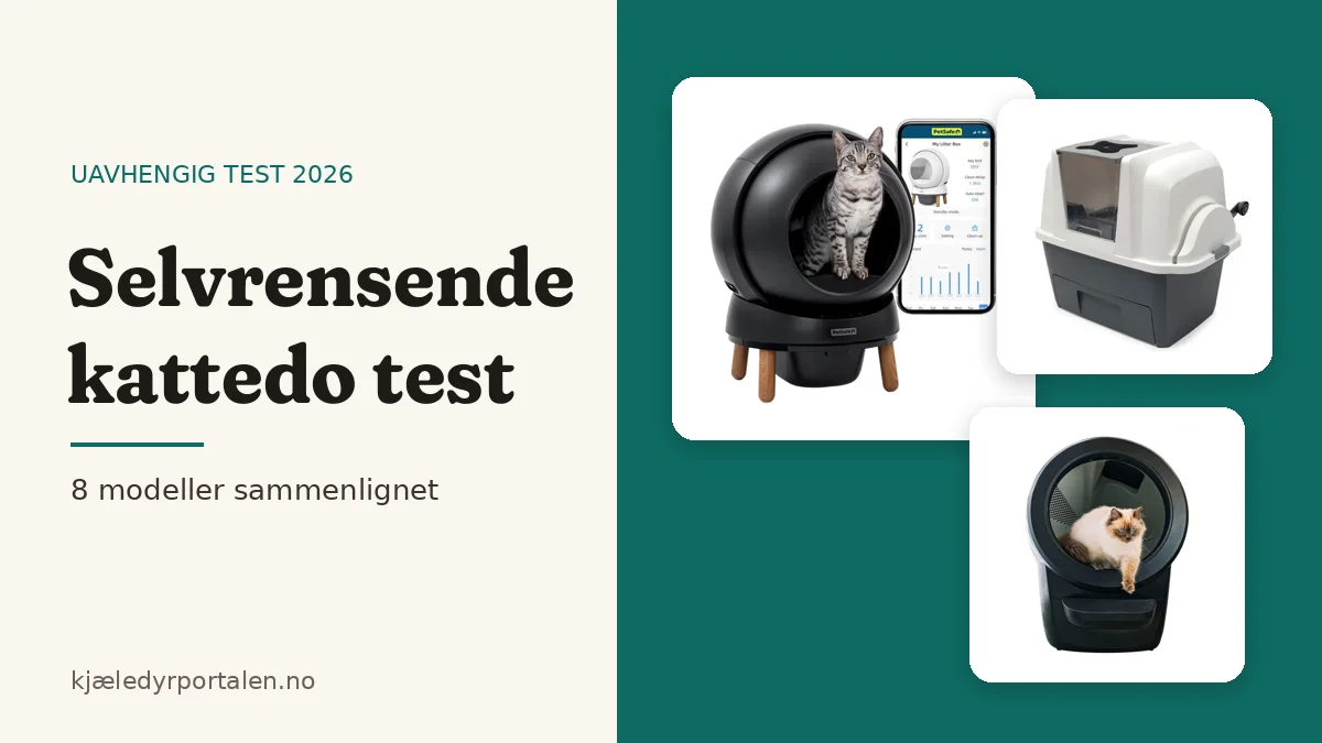 Selvrensende kattedo test