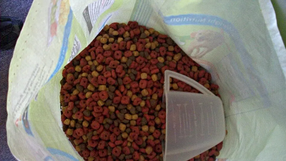 korn i hundemat