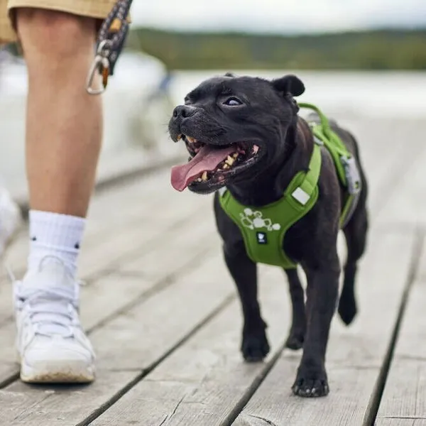 Hurtta Weekend Warrior II Eco hundesele
