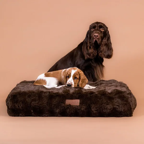 PAIKKA Lounge ortopedisk hundeseng i brunt